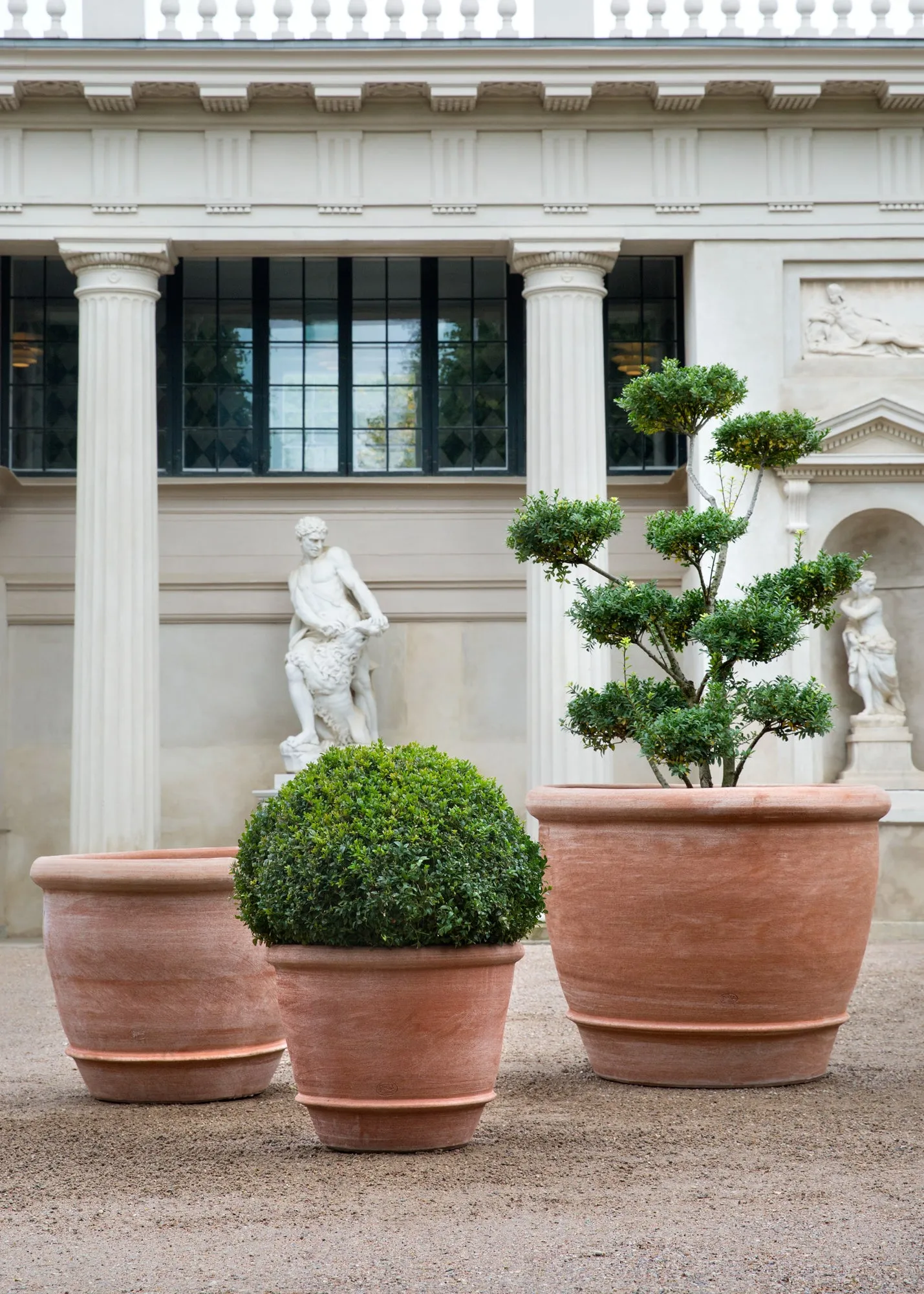 Campana Rosa Pot