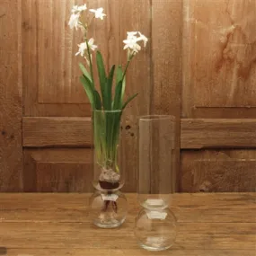 Clear Bulb Vase