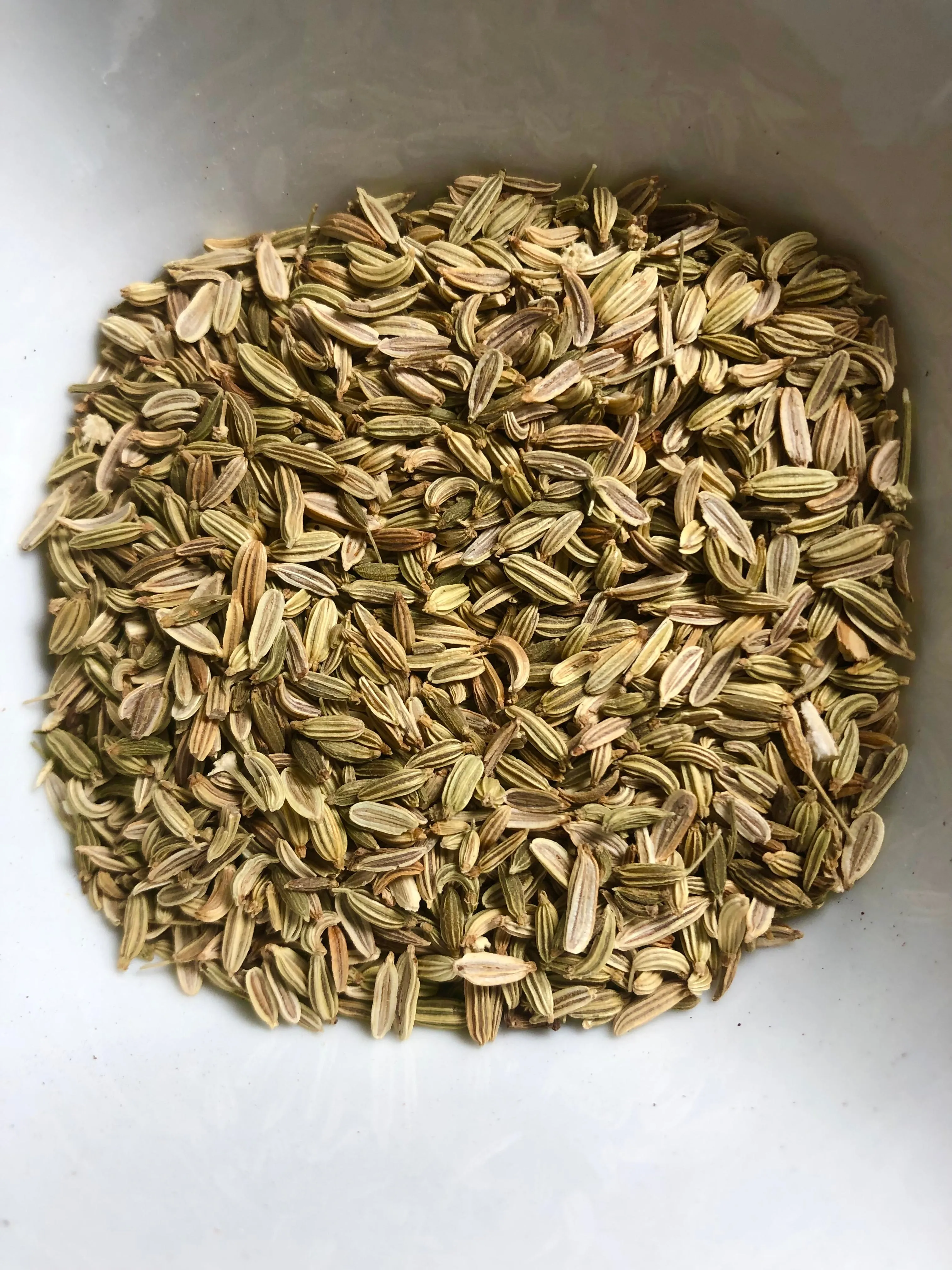 Fennel Seed