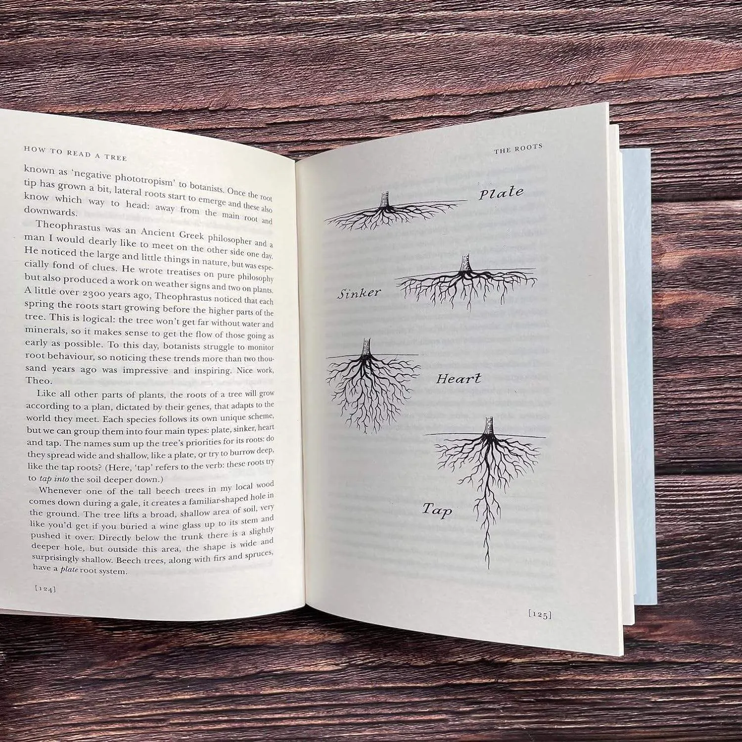 How to Read a Tree: Clue & Patterns from Roots to Leaves