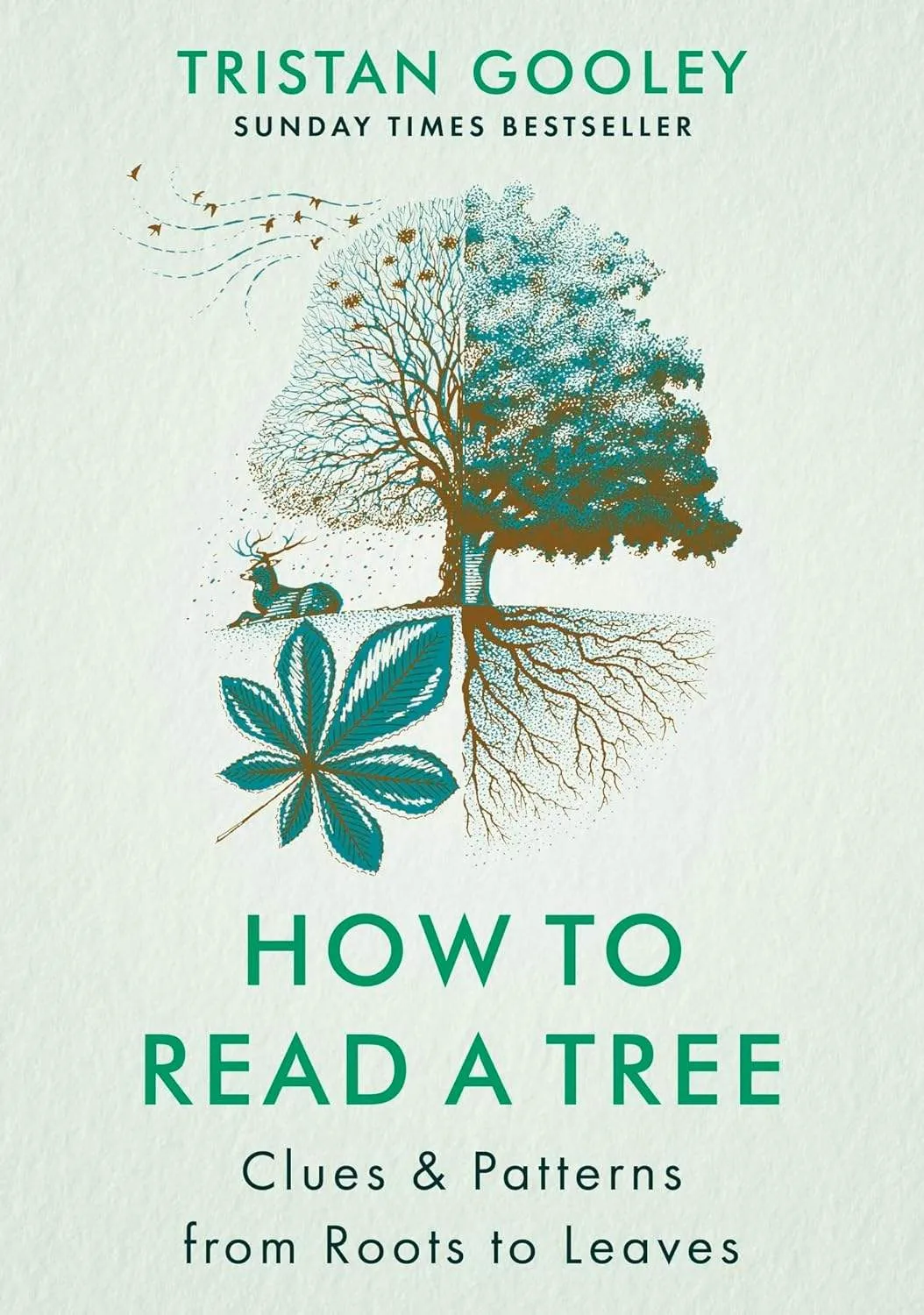 How to Read a Tree: Clue & Patterns from Roots to Leaves