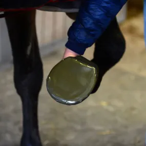 Kentucky Horsewear Sole Tape