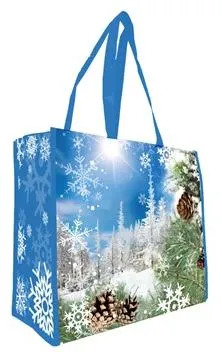 Large rPET Grocery Bag