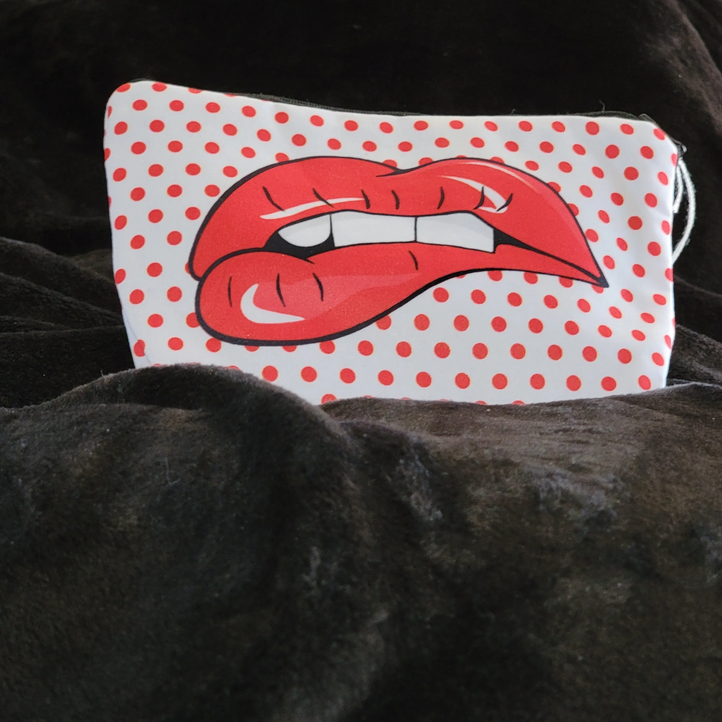 Lip makeup bag