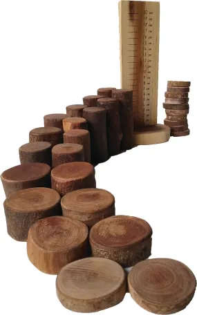 Mathematics Natural Tree Blocks with Ruler