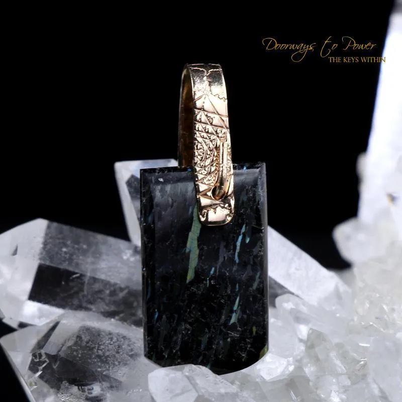 Nuummite Light Language Crystal Pendant ™ 14k Gold