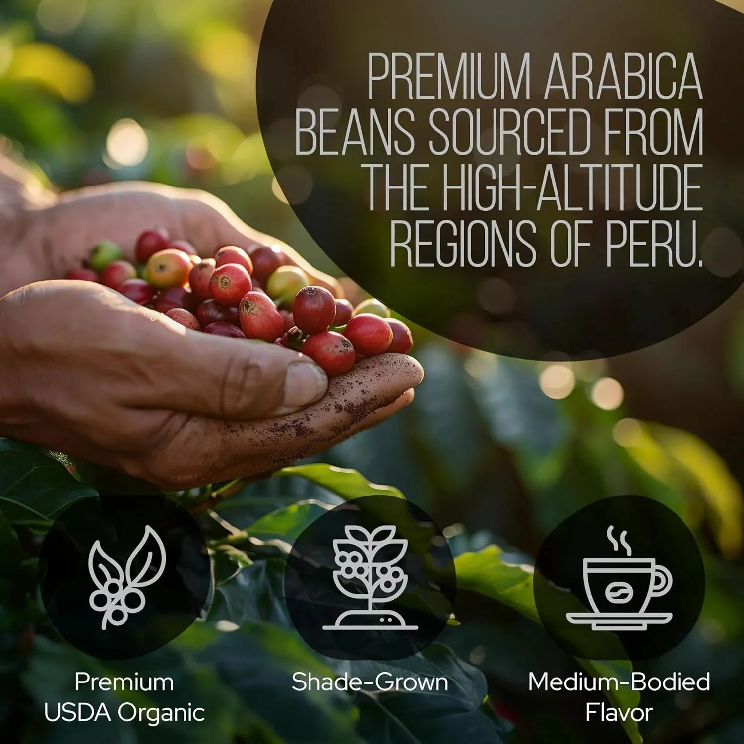 Peruvian Dark Ground RESERVE Mushroom Coffee - La Republica