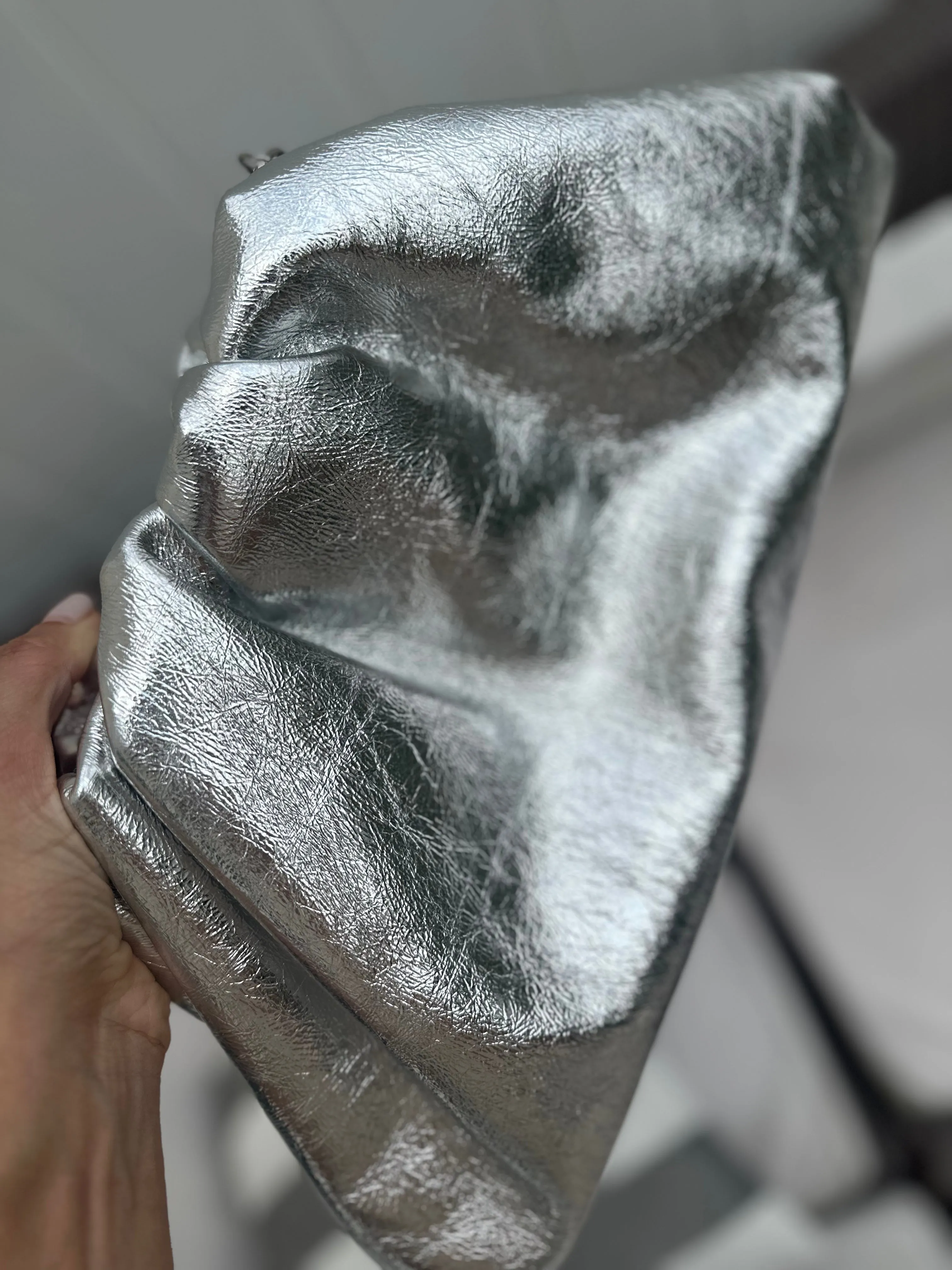 Zyla Silver Dumpling Bag